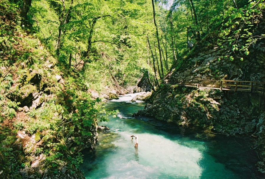 https://ic.pics.livejournal.com/cosmomarmots/76512026/16379/16379_900.jpg