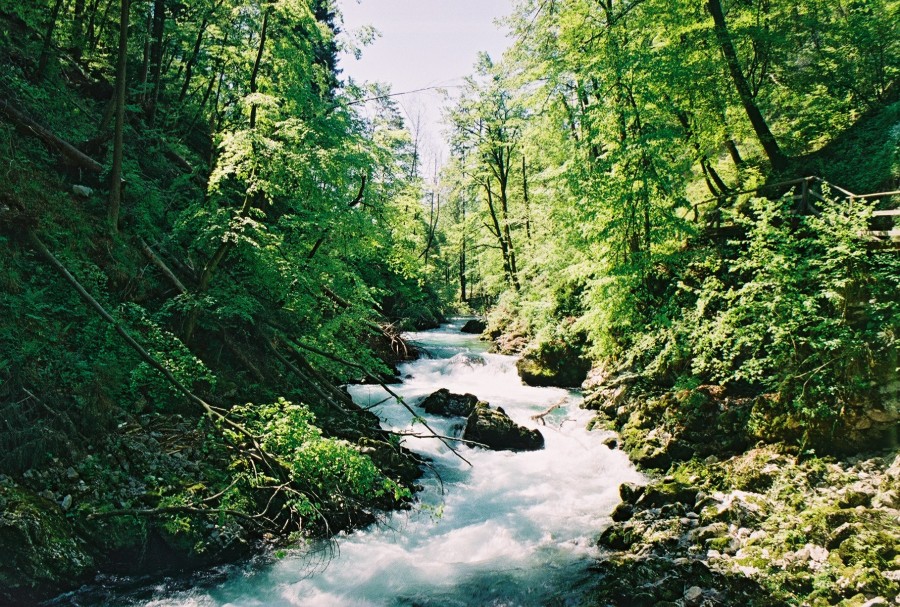https://ic.pics.livejournal.com/cosmomarmots/76512026/16386/16386_900.jpg