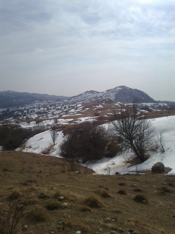 https://ic.pics.livejournal.com/cosmomarmots/76512026/136987/136987_900.jpg
