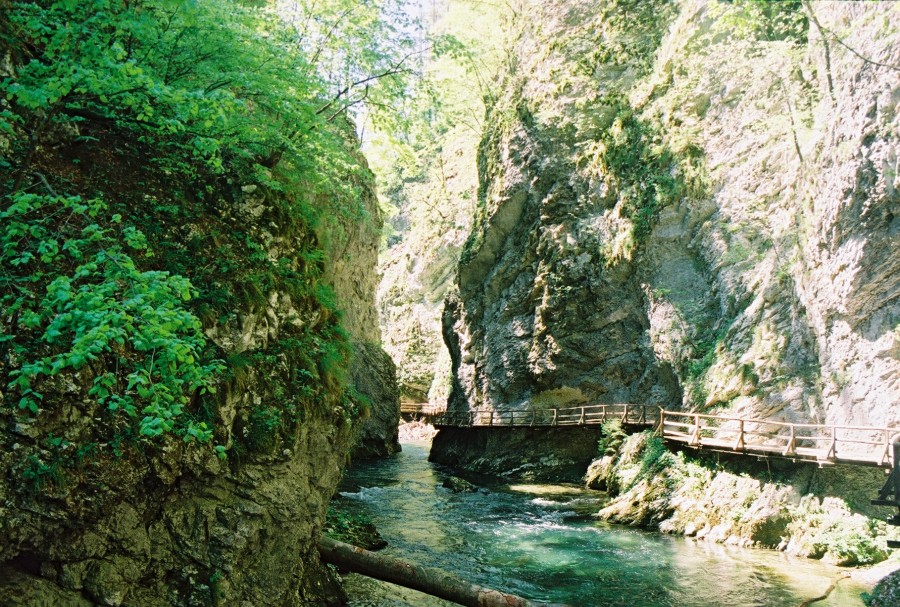 https://ic.pics.livejournal.com/cosmomarmots/76512026/16752/16752_900.jpg