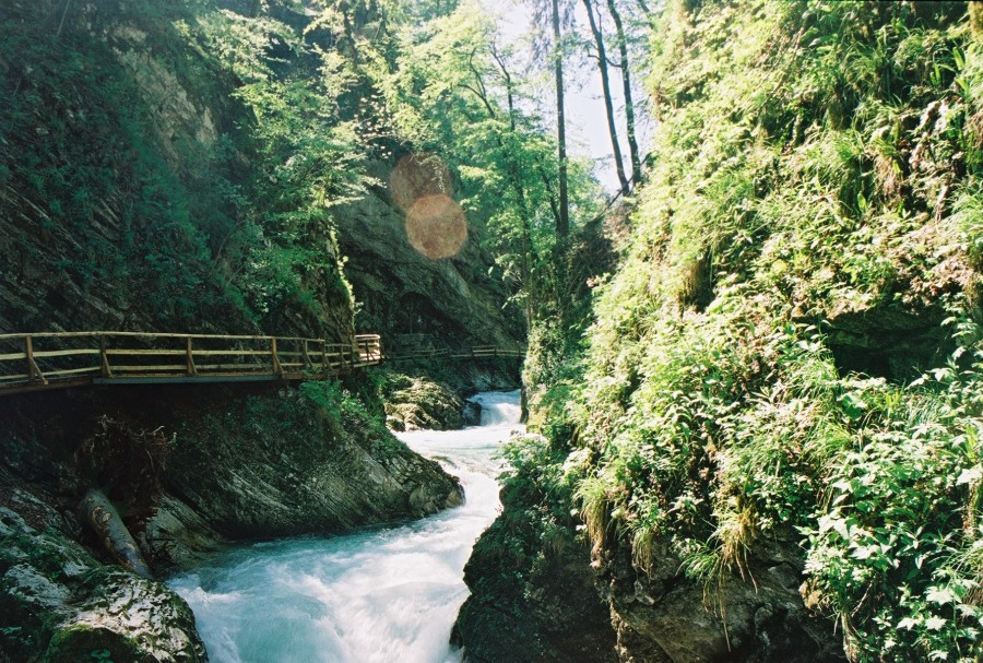 https://ic.pics.livejournal.com/cosmomarmots/76512026/16966/16966_900.jpg