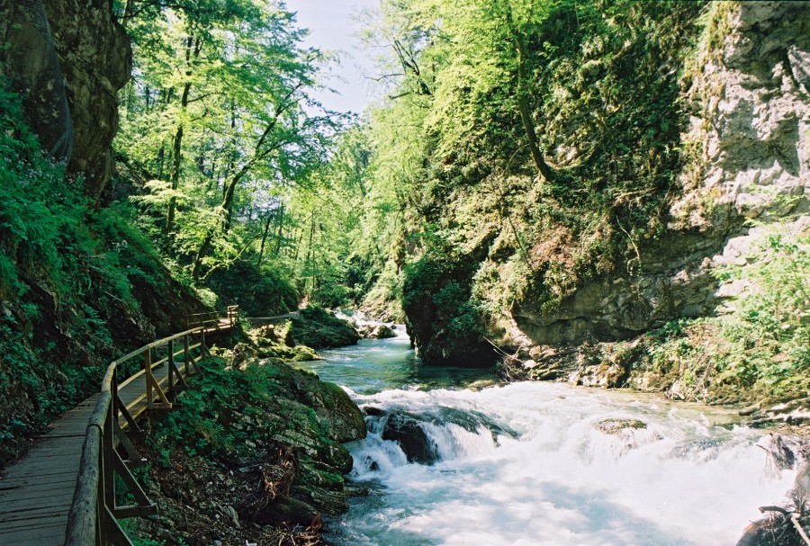https://ic.pics.livejournal.com/cosmomarmots/76512026/17403/17403_900.jpg