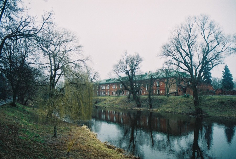 https://ic.pics.livejournal.com/cosmomarmots/76512026/138306/138306_900.jpg