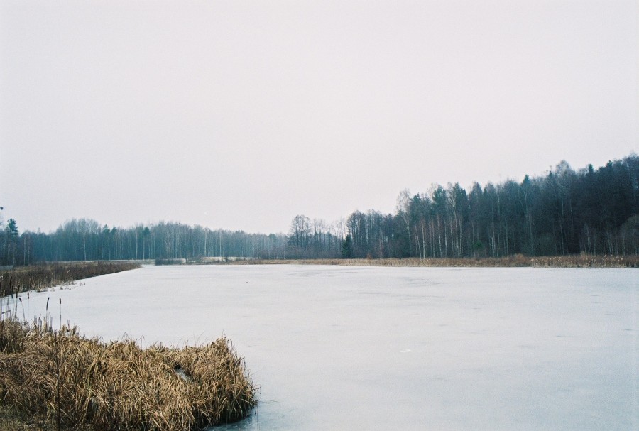 https://ic.pics.livejournal.com/cosmomarmots/76512026/140082/140082_900.jpg