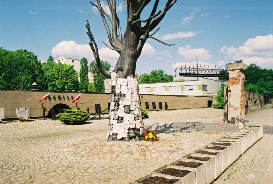 https://ic.pics.livejournal.com/cosmomarmots/76512026/142562/142562_900.jpg