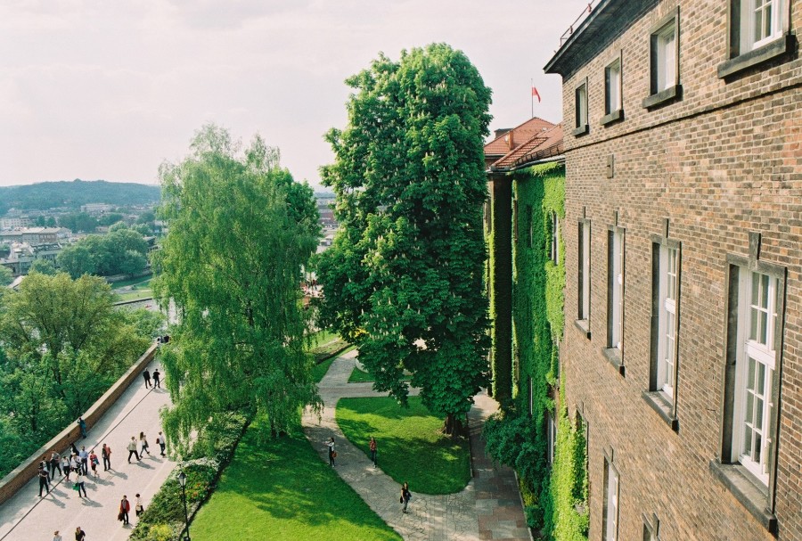 https://ic.pics.livejournal.com/cosmomarmots/76512026/146251/146251_900.jpg