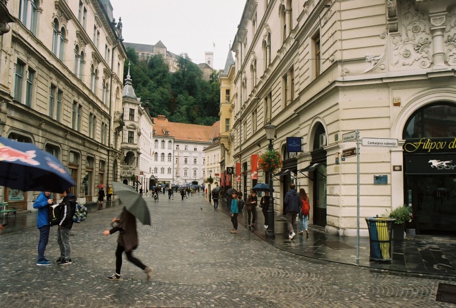 https://ic.pics.livejournal.com/cosmomarmots/76512026/714308/714308_900.jpg