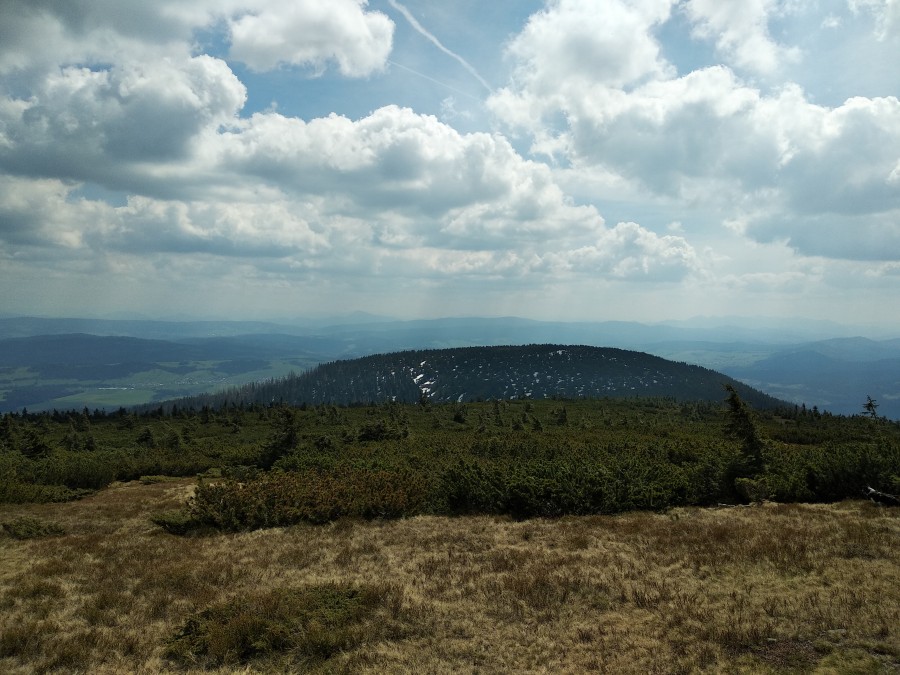 https://ic.pics.livejournal.com/cosmomarmots/76512026/952620/952620_900.jpg