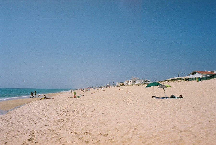 https://ic.pics.livejournal.com/cosmomarmots/76512026/156046/156046_900.jpg
