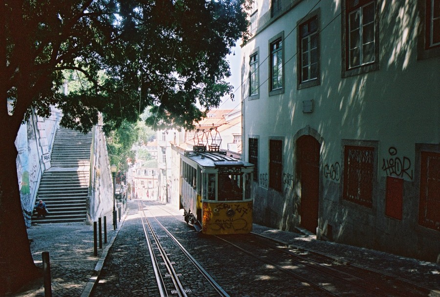 https://ic.pics.livejournal.com/cosmomarmots/76512026/158715/158715_900.jpg