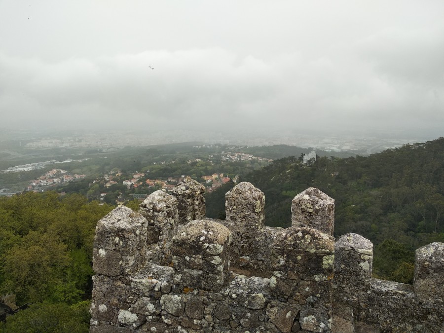 https://ic.pics.livejournal.com/cosmomarmots/76512026/945245/945245_900.jpg