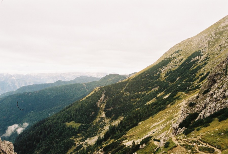 https://ic.pics.livejournal.com/cosmomarmots/76512026/716972/716972_900.jpg