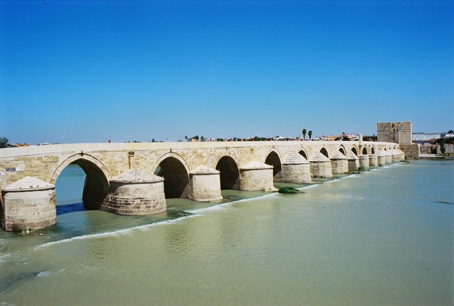 https://ic.pics.livejournal.com/cosmomarmots/76512026/170959/170959_900.jpg