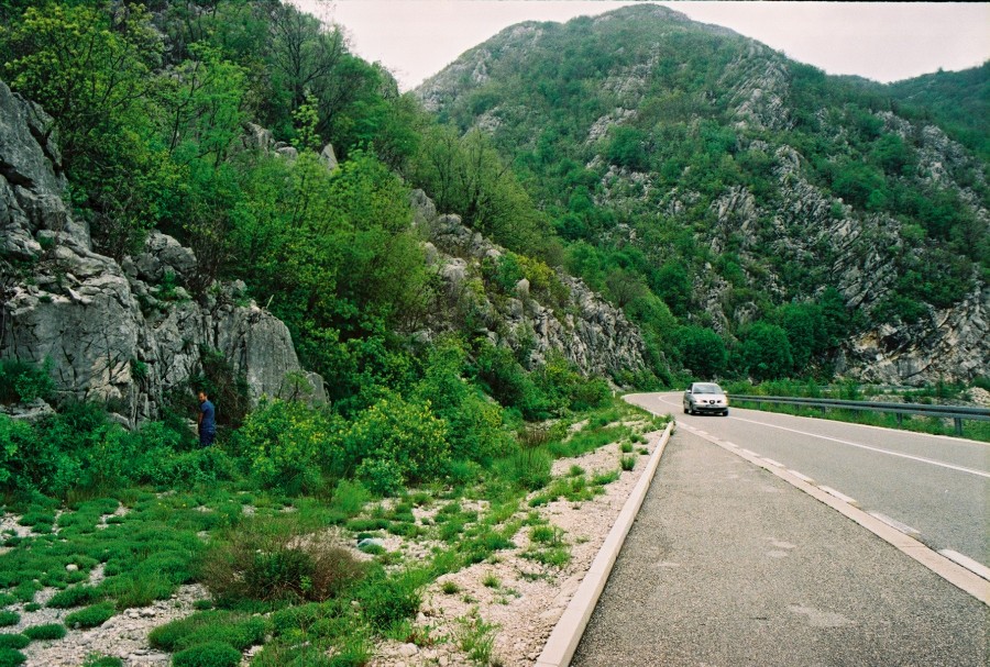https://ic.pics.livejournal.com/cosmomarmots/76512026/183191/183191_900.jpg