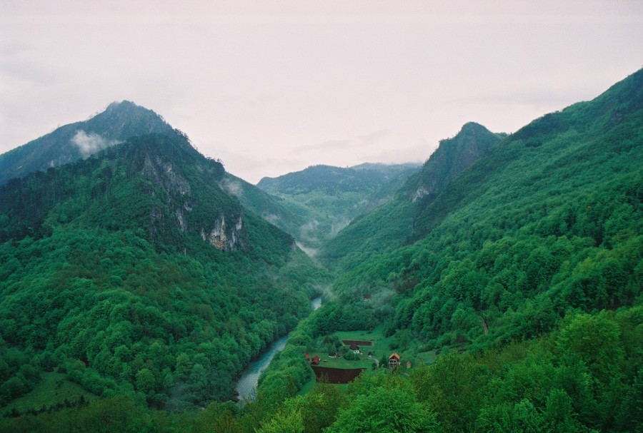 https://ic.pics.livejournal.com/cosmomarmots/76512026/184470/184470_900.jpg
