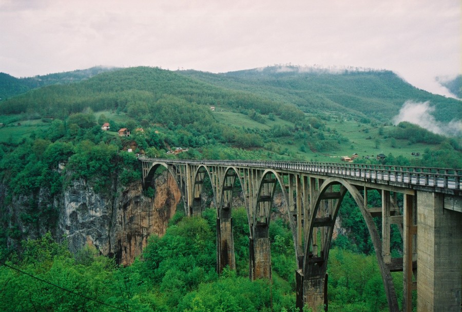 https://ic.pics.livejournal.com/cosmomarmots/76512026/184592/184592_900.jpg