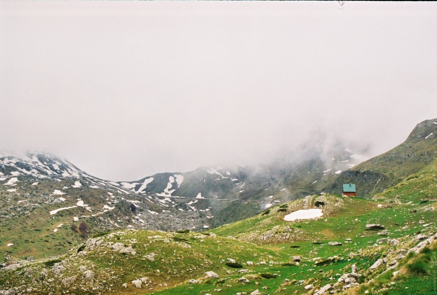 https://ic.pics.livejournal.com/cosmomarmots/76512026/187113/187113_900.jpg