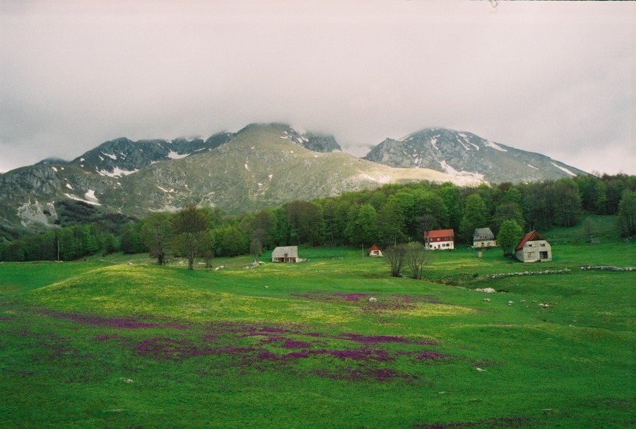 https://ic.pics.livejournal.com/cosmomarmots/76512026/187162/187162_900.jpg