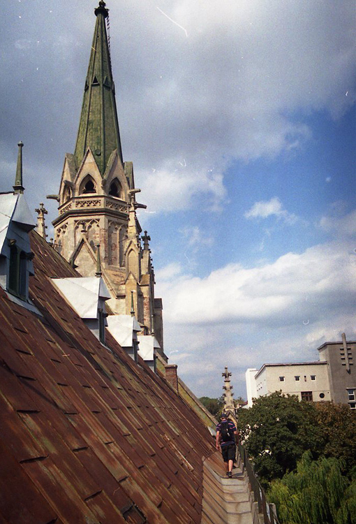 https://ic.pics.livejournal.com/cosmomarmots/76512026/204943/204943_900.jpg