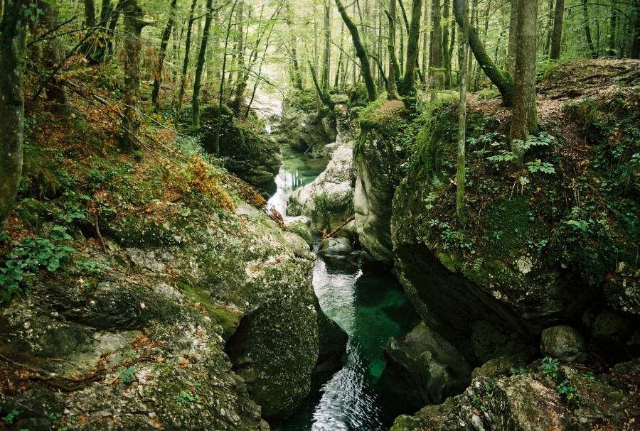 https://ic.pics.livejournal.com/cosmomarmots/76512026/722597/722597_900.jpg