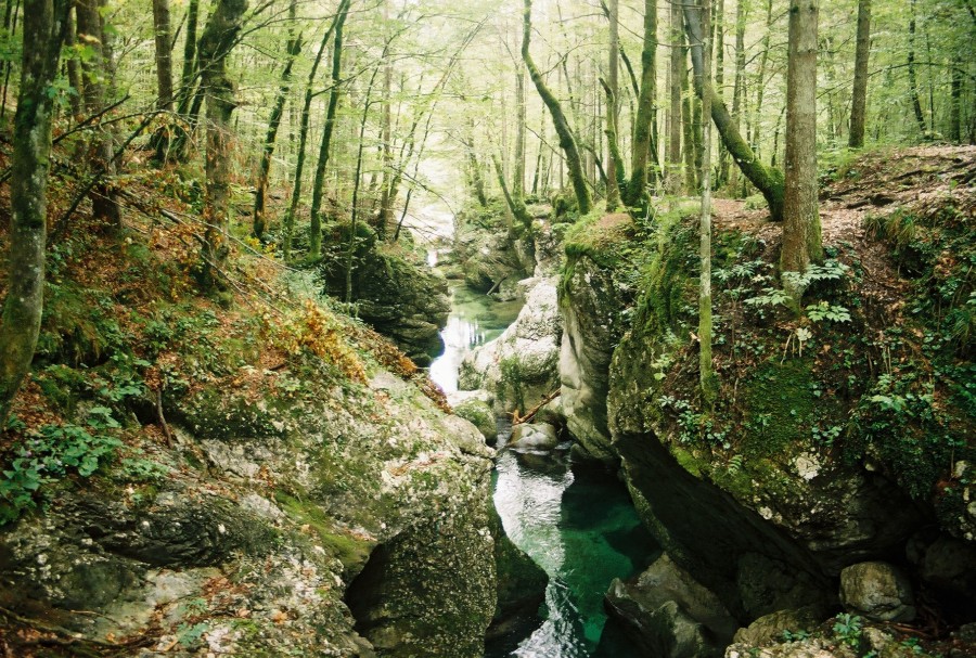 https://ic.pics.livejournal.com/cosmomarmots/76512026/723043/723043_900.jpg