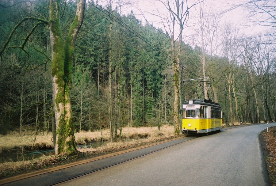 https://ic.pics.livejournal.com/cosmomarmots/76512026/217796/217796_900.jpg