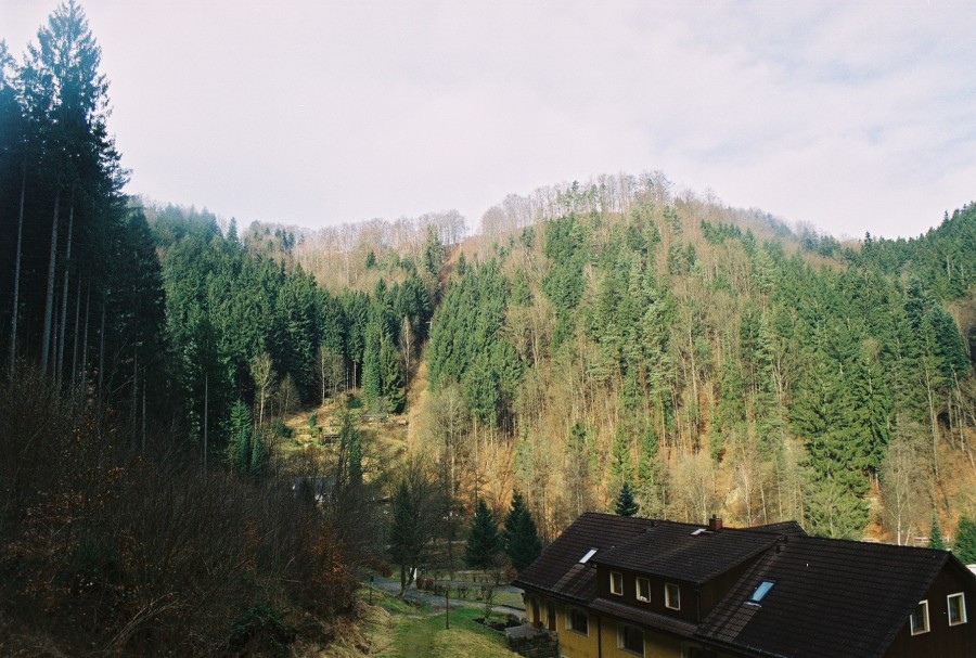 https://ic.pics.livejournal.com/cosmomarmots/76512026/217894/217894_900.jpg