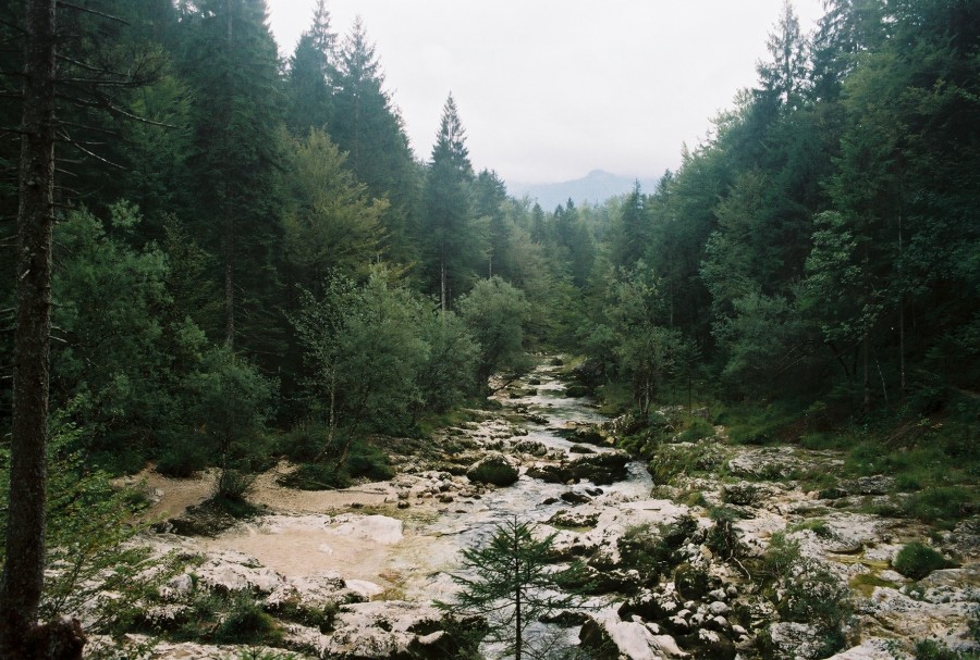 https://ic.pics.livejournal.com/cosmomarmots/76512026/723298/723298_900.jpg