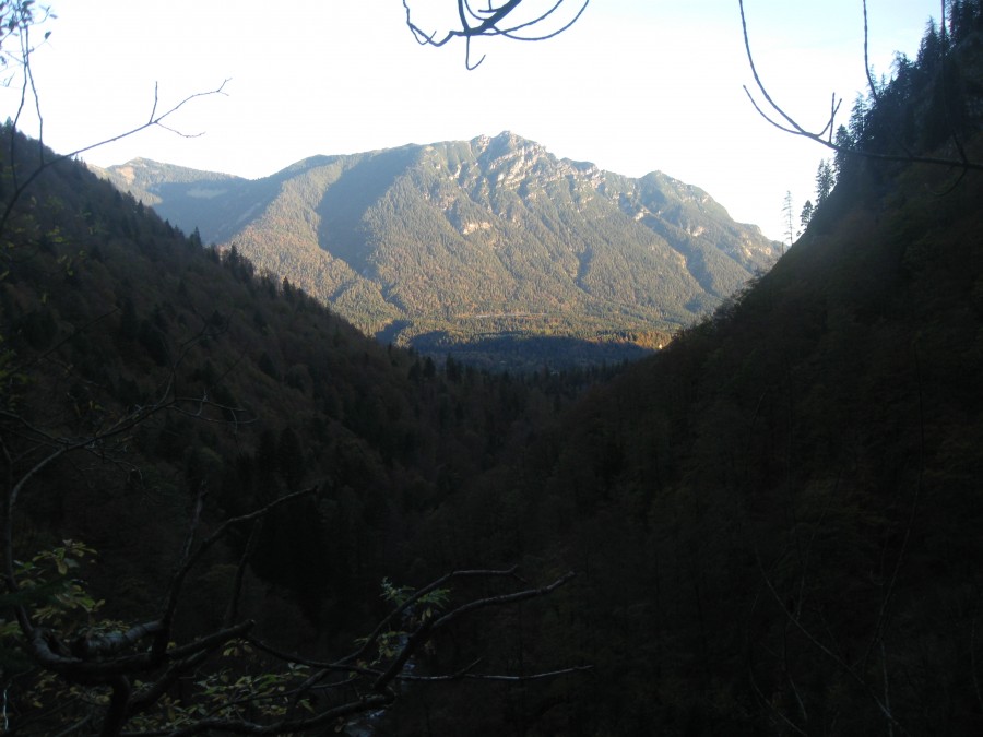 https://ic.pics.livejournal.com/cosmomarmots/76512026/221457/221457_900.jpg