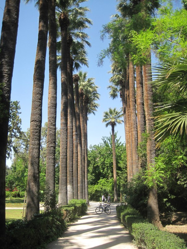 https://ic.pics.livejournal.com/cosmomarmots/76512026/227845/227845_900.jpg
