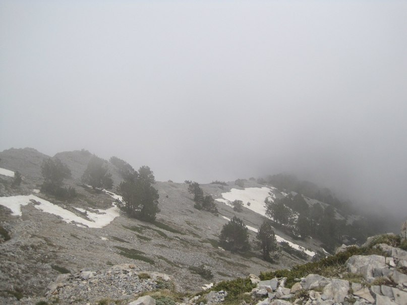 https://ic.pics.livejournal.com/cosmomarmots/76512026/237721/237721_900.jpg