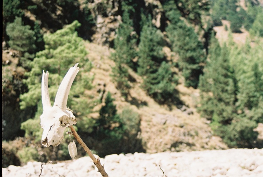 https://ic.pics.livejournal.com/cosmomarmots/76512026/243176/243176_900.jpg
