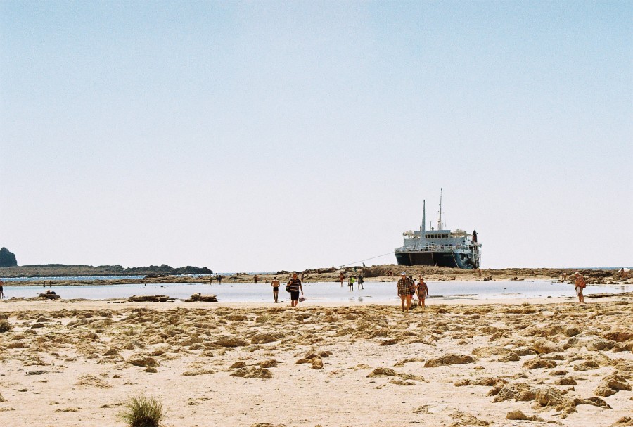 https://ic.pics.livejournal.com/cosmomarmots/76512026/245543/245543_900.jpg