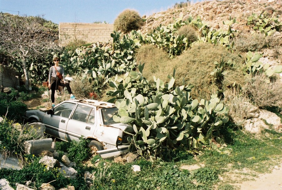 https://ic.pics.livejournal.com/cosmomarmots/76512026/777527/777527_900.jpg