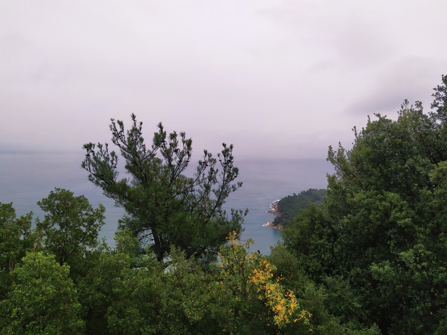 https://ic.pics.livejournal.com/cosmomarmots/76512026/1017015/1017015_900.jpg